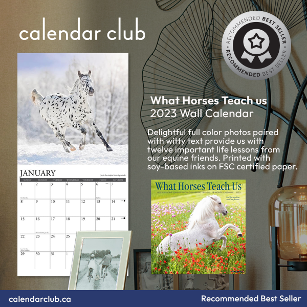 What Horses Teach Us Wall&nbsp;Calendar icon