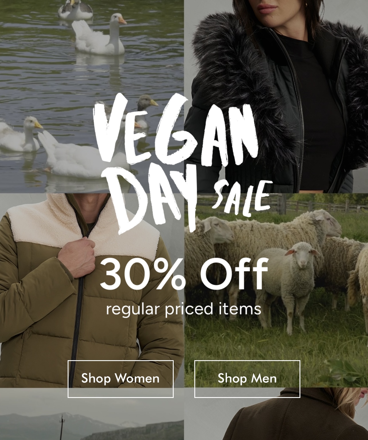 Mid Season Sale icon